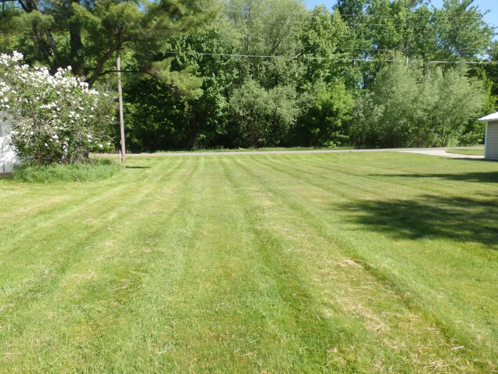 Bair Avenue Bear Lake, MI 49614