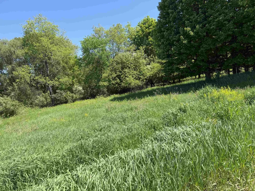 1 Shanty Creek Road Kearney Township, MI 49615