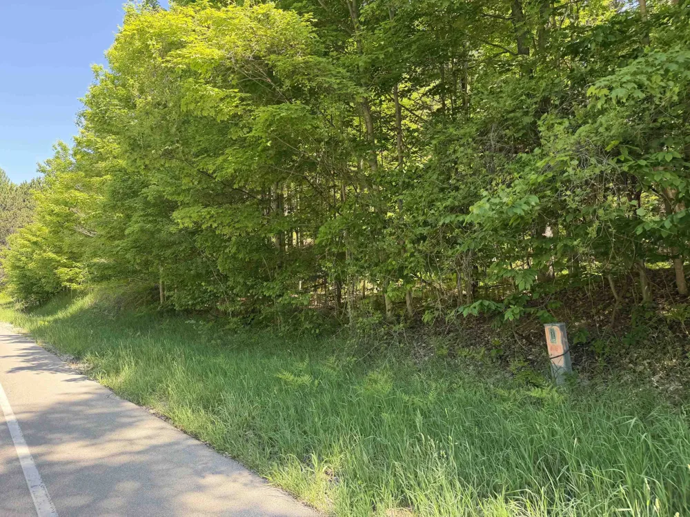 1 Shanty Creek Road Kearney Township, MI 49615