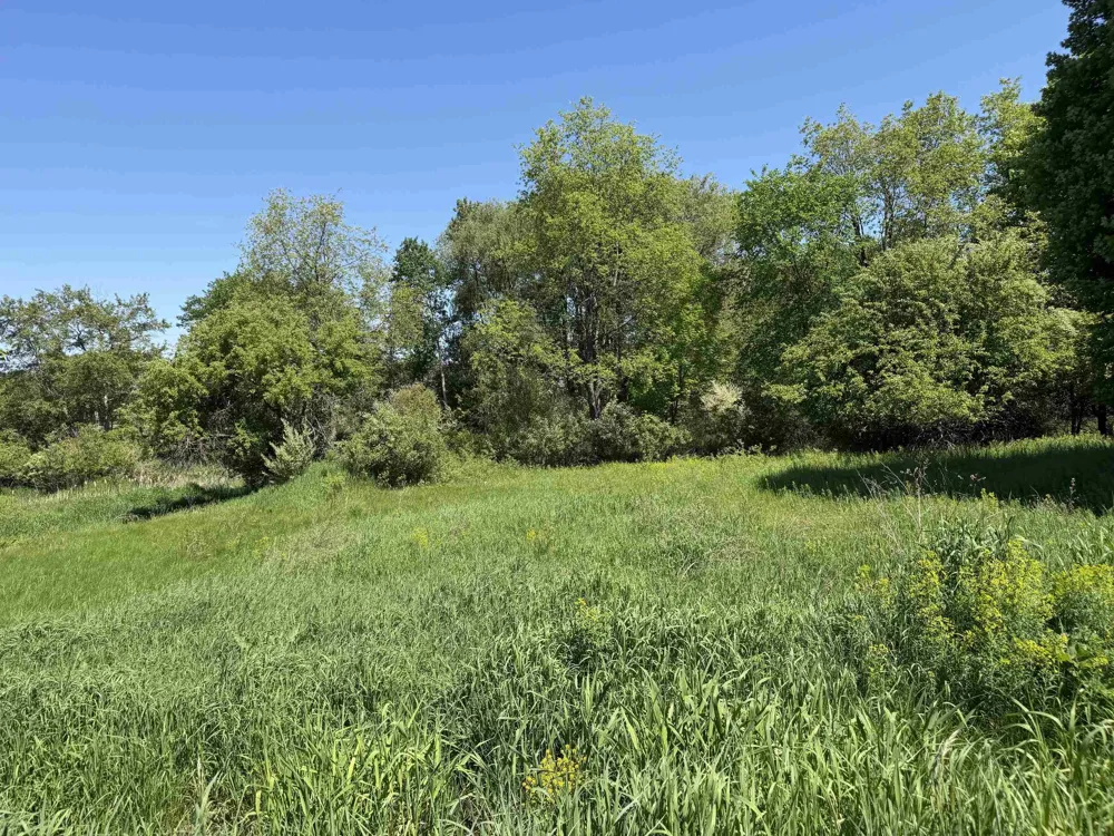 1 Shanty Creek Road Kearney Township, MI 49615