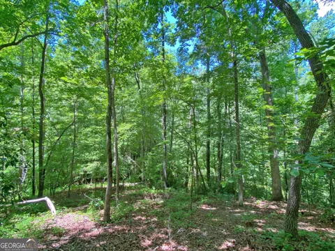 0 Hickory Nut TRL