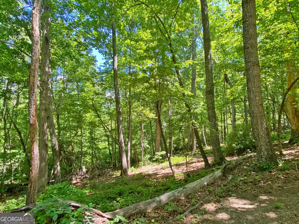 0 Hickory Nut TRL Dahlonega, GA 30533