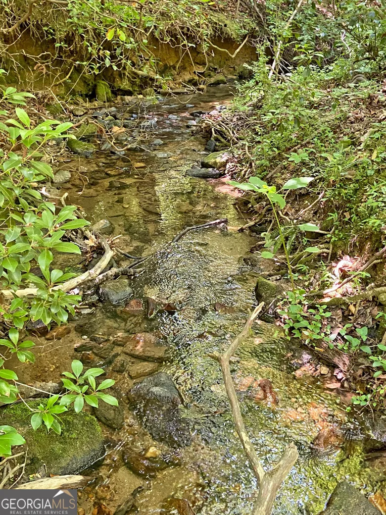 0 Hickory Nut TRL Dahlonega, GA 30533