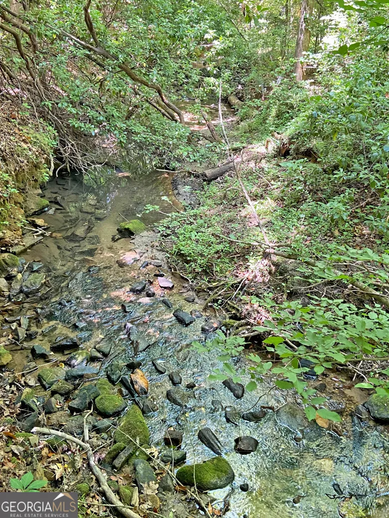 0 Hickory Nut TRL Dahlonega, GA 30533