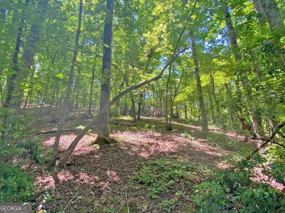 0 Hickory Nut TRL Dahlonega, GA 30533