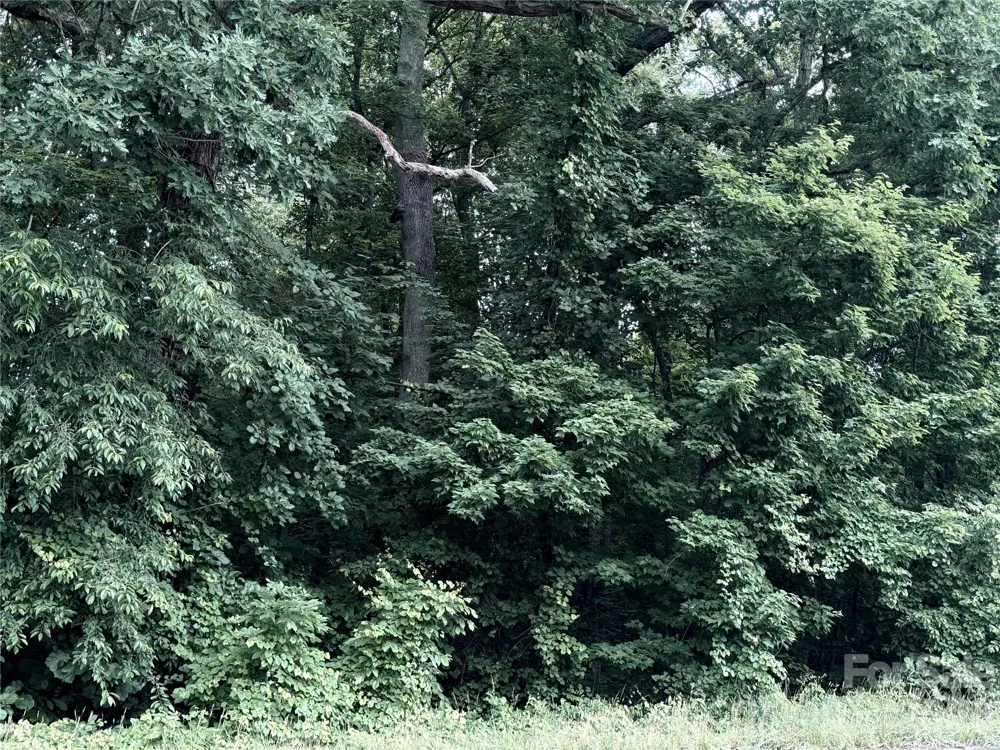 0 Buffalo Shoals Road Statesville, NC 28677