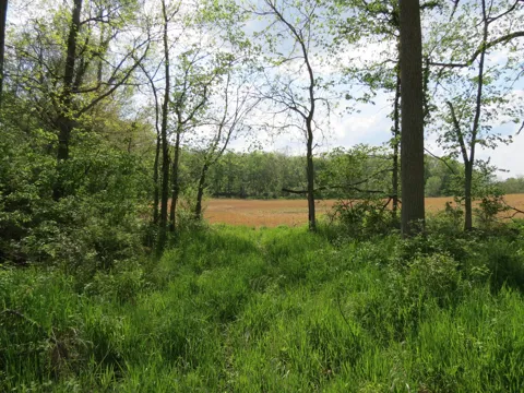 S Stony Lake Road #A