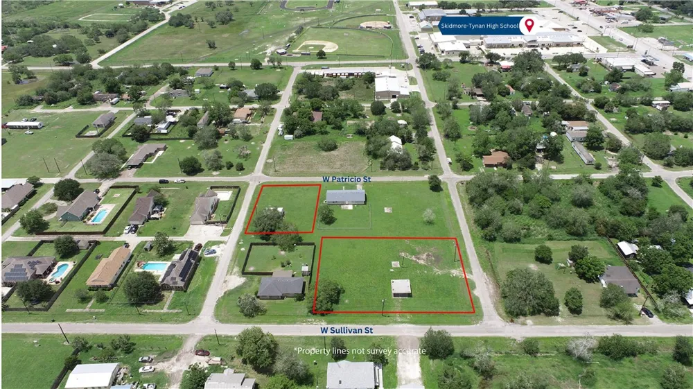W Patricio Street Skidmore, TX 78389