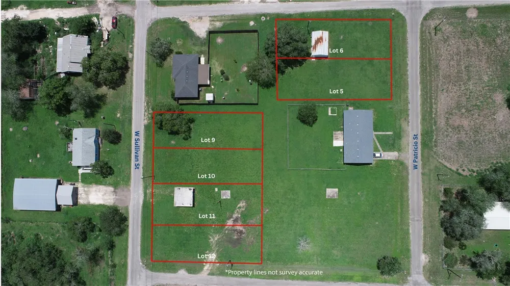 W Patricio Street Skidmore, TX 78389