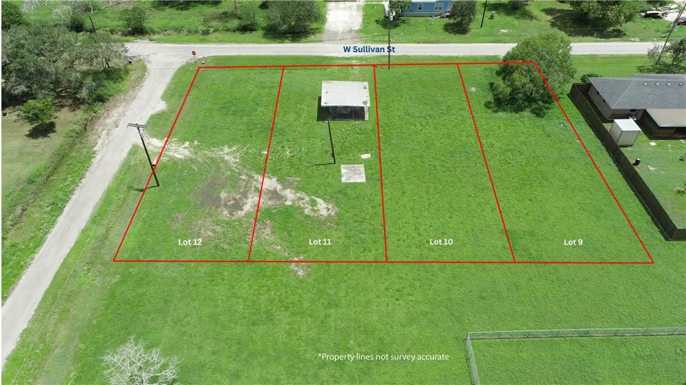 W Patricio Street Skidmore, TX 78389