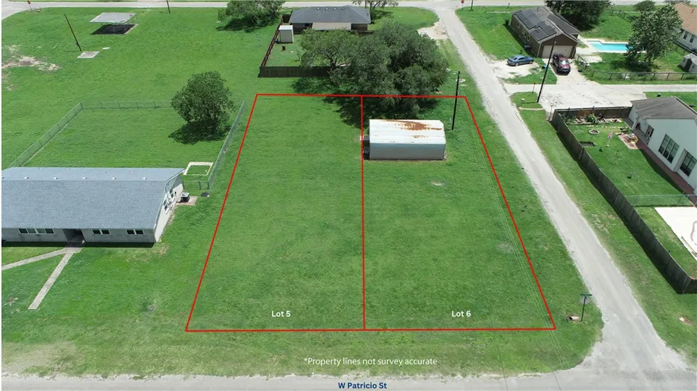 W Patricio Street Skidmore, TX 78389
