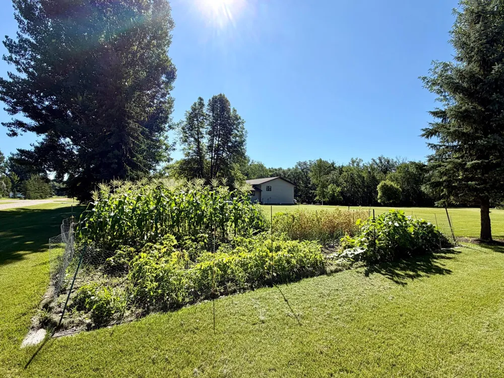 101 17th Avenue NE Roseau, MN 56751