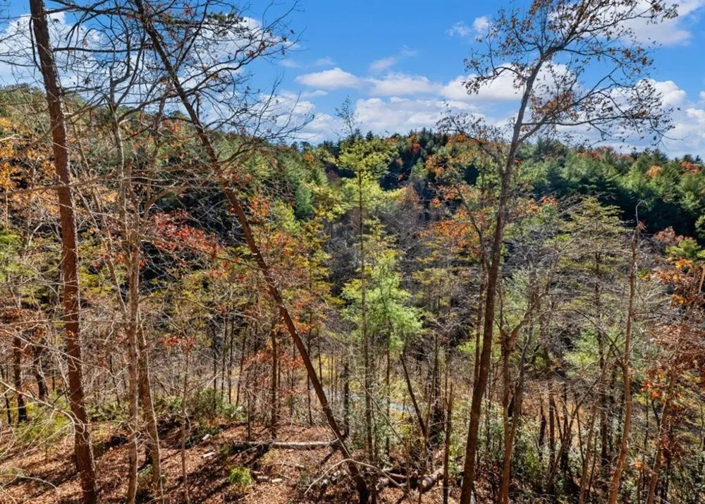 150 Alte Bruecke Strasse Helen, GA 30545