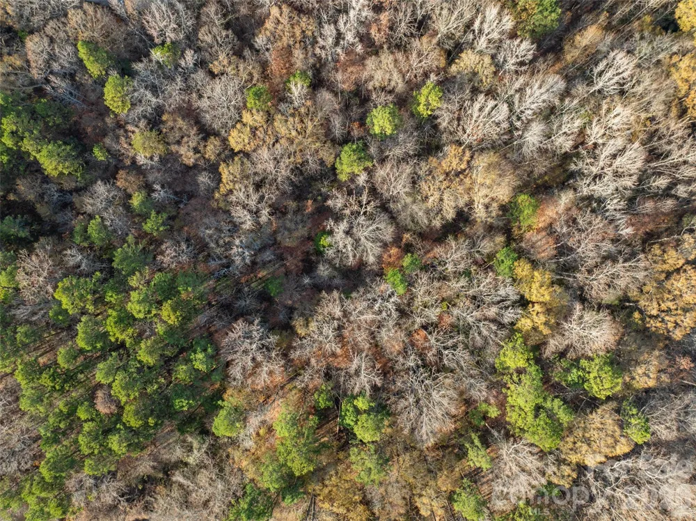 0000 Sandy Ford Road Mount Holly, NC 28120
