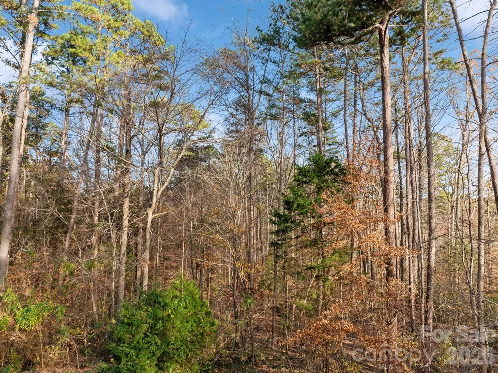 0000 Sandy Ford Road Mount Holly, NC 28120