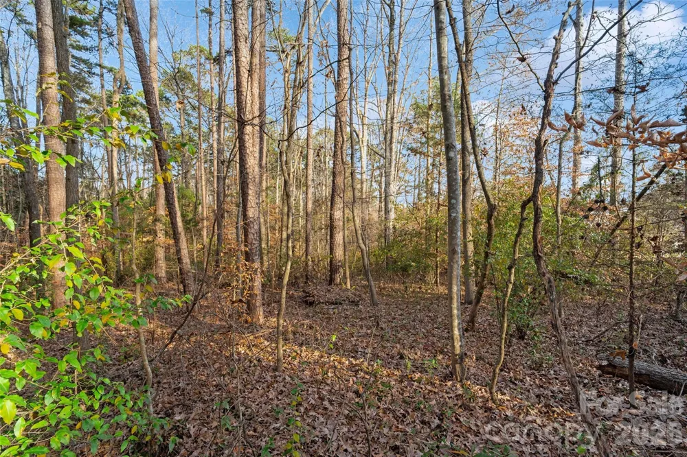 0000 Sandy Ford Road Mount Holly, NC 28120