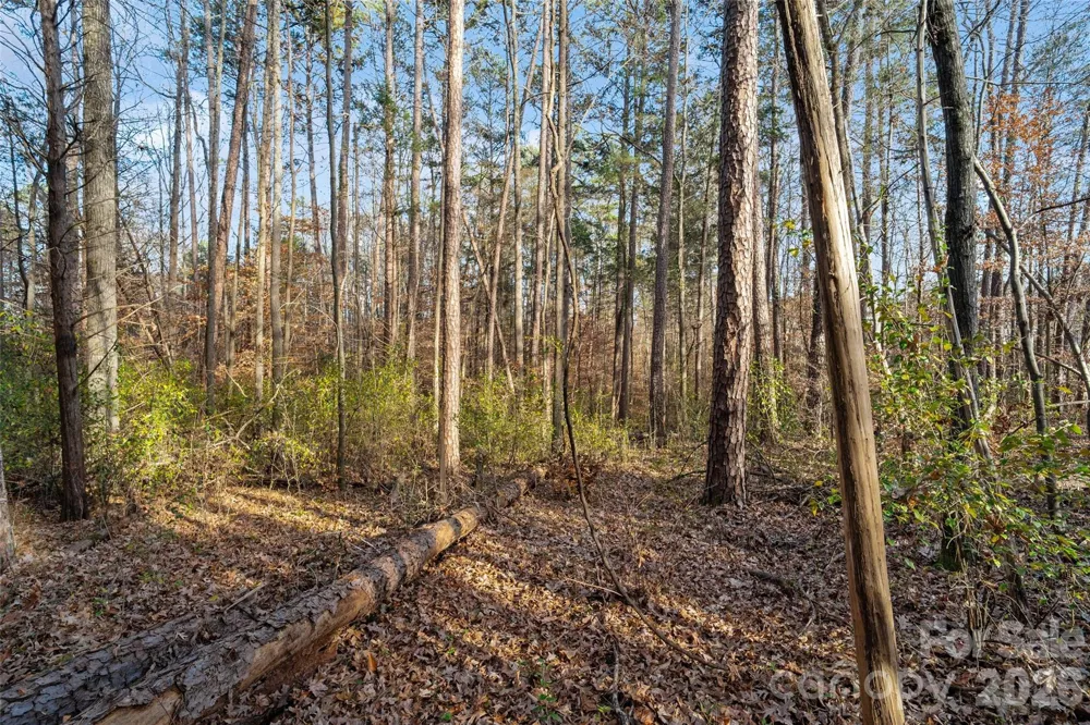 0000 Sandy Ford Road Mount Holly, NC 28120