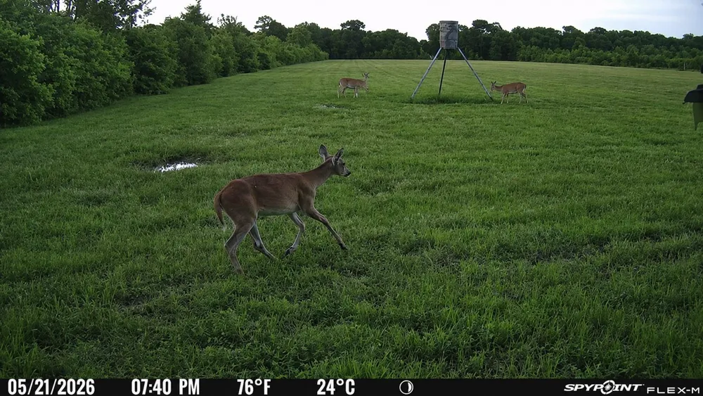 2240 Meyer Road Beasley, TX 77417
