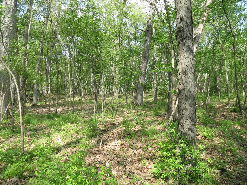 Giles Road #C Brooklyn, MI 49230