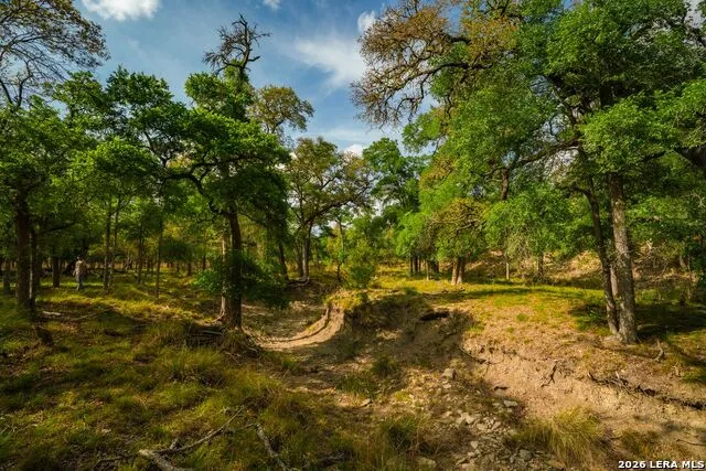 718 Ranch to Market 473 Comfort, TX 78013