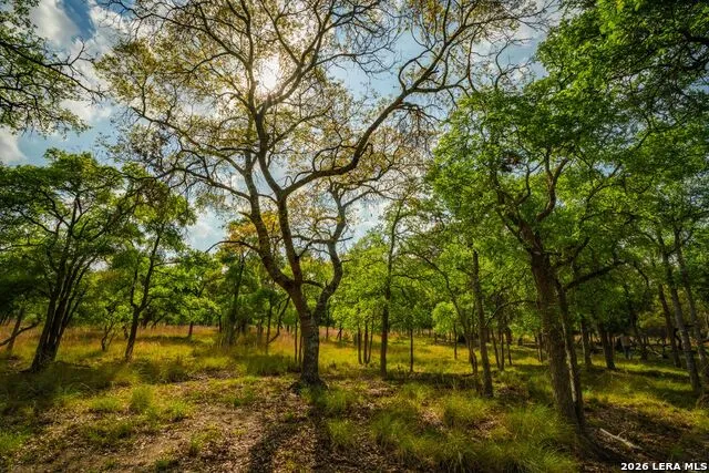 718 Ranch to Market 473 Comfort, TX 78013
