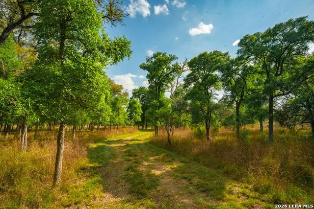 718 Ranch to Market 473 Comfort, TX 78013