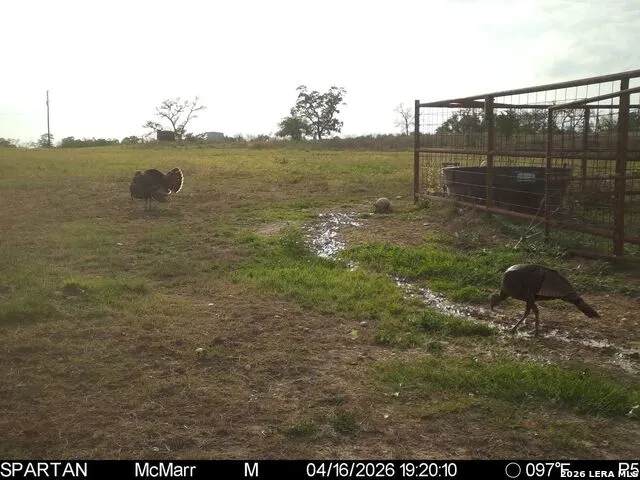 718 Ranch to Market 473 Comfort, TX 78013