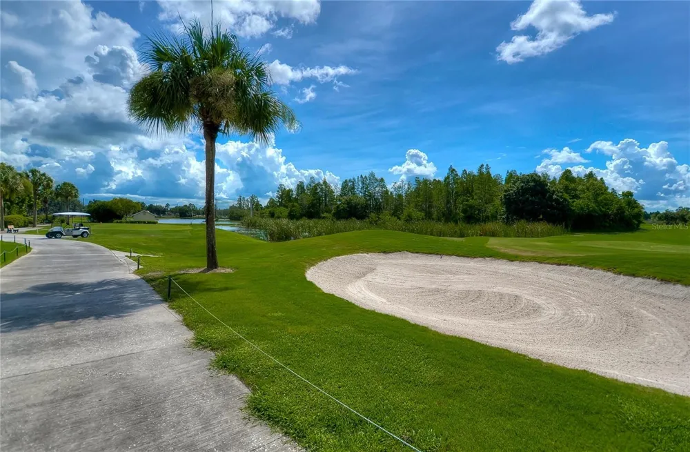 8049 SANGUINELLI ROAD Land O Lakes, FL 34637
