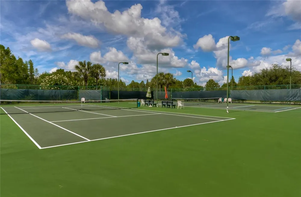 8049 SANGUINELLI ROAD Land O Lakes, FL 34637