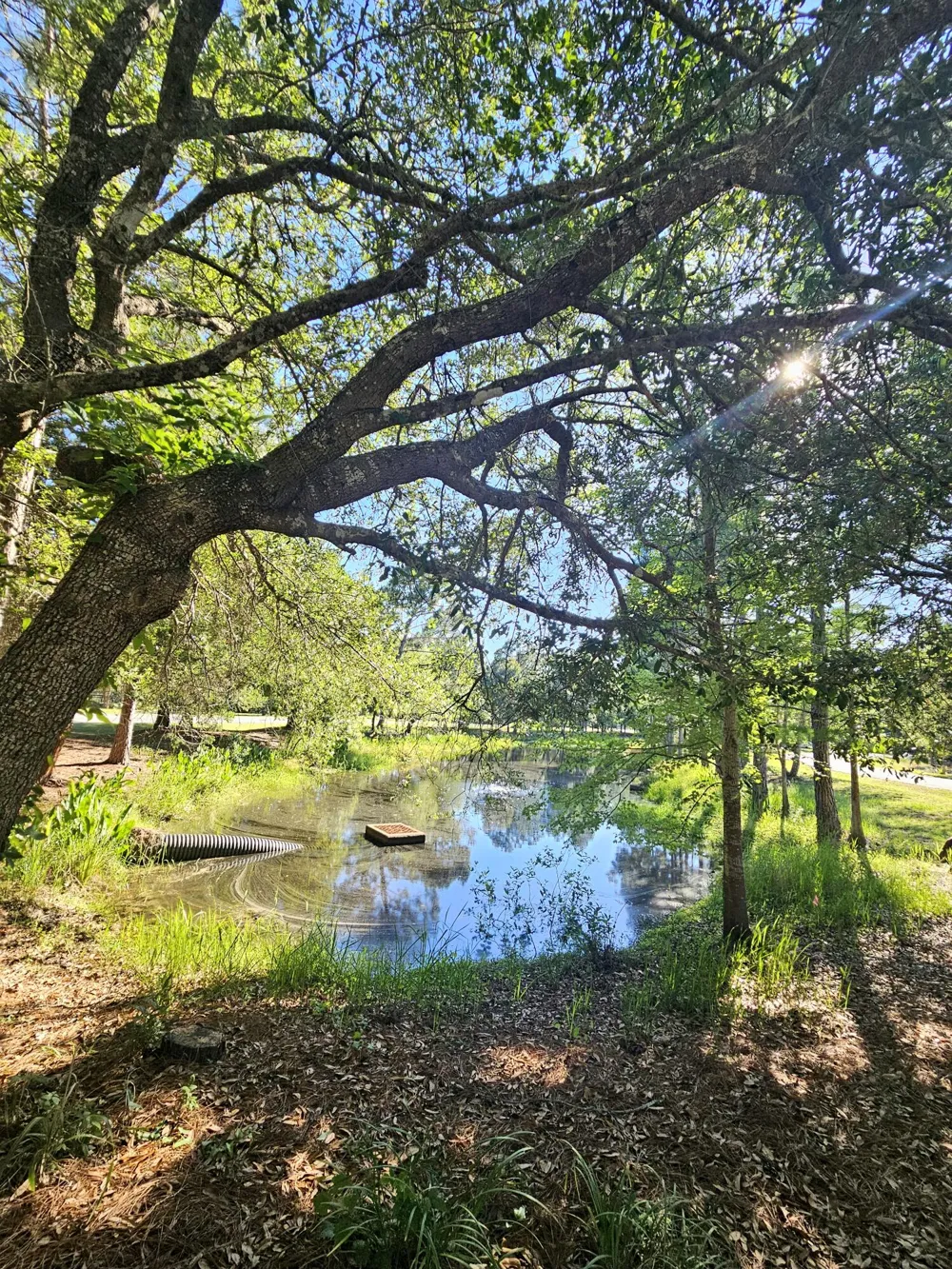 1514 Sweetbay Trail