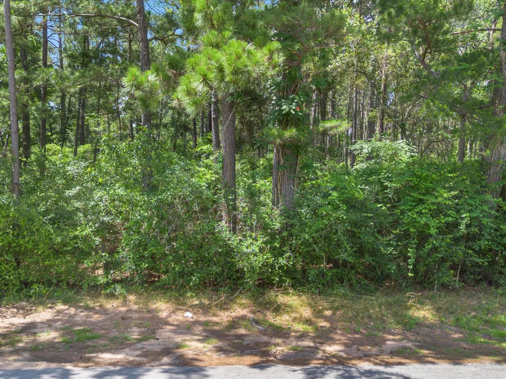 23717 Pinewood Valley Drive Hockley, TX 77447