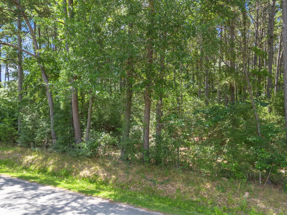 23717 Pinewood Valley Drive Hockley, TX 77447