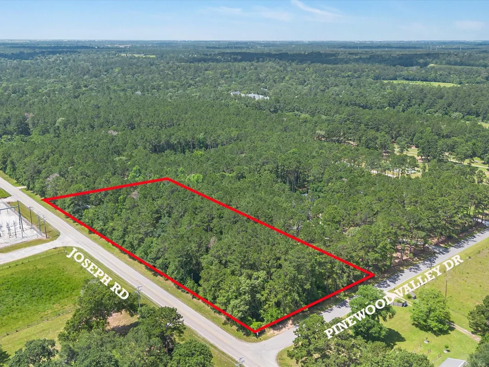 23717 Pinewood Valley Drive Hockley, TX 77447