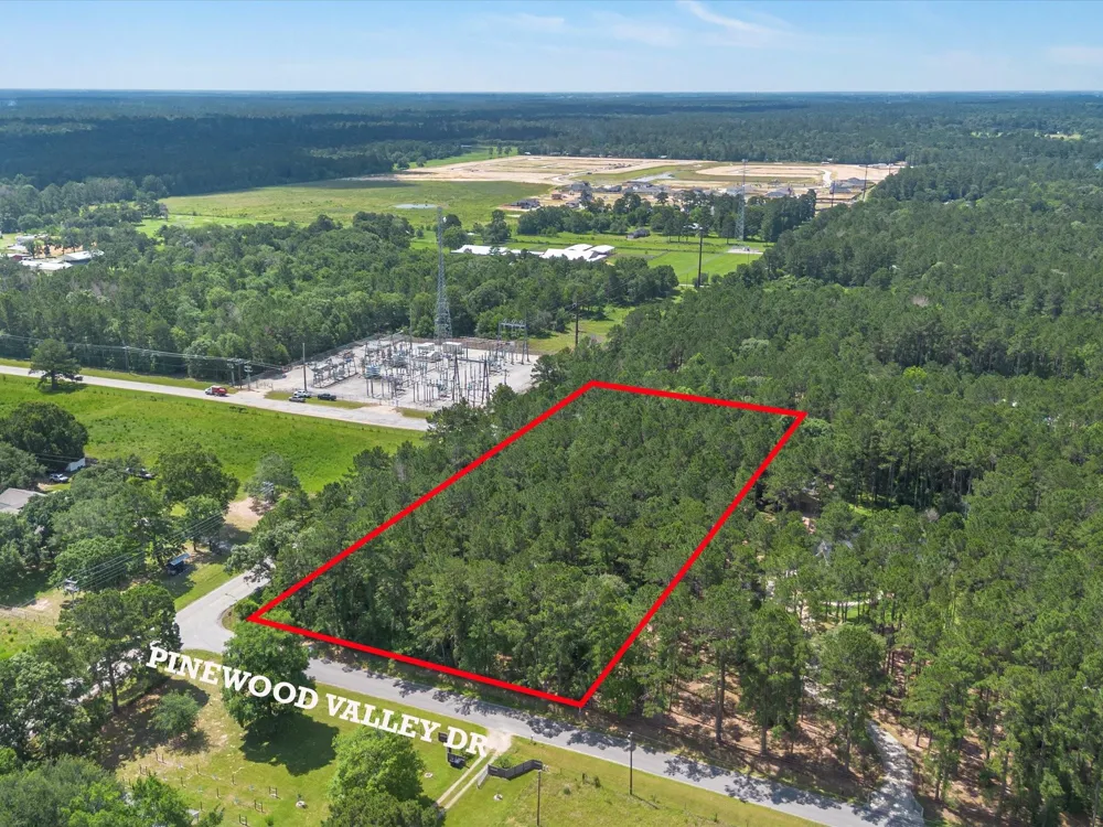 23717 Pinewood Valley Drive Hockley, TX 77447