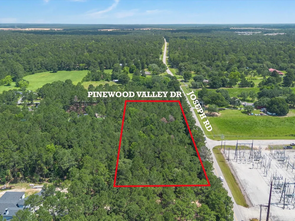 23717 Pinewood Valley Drive Hockley, TX 77447