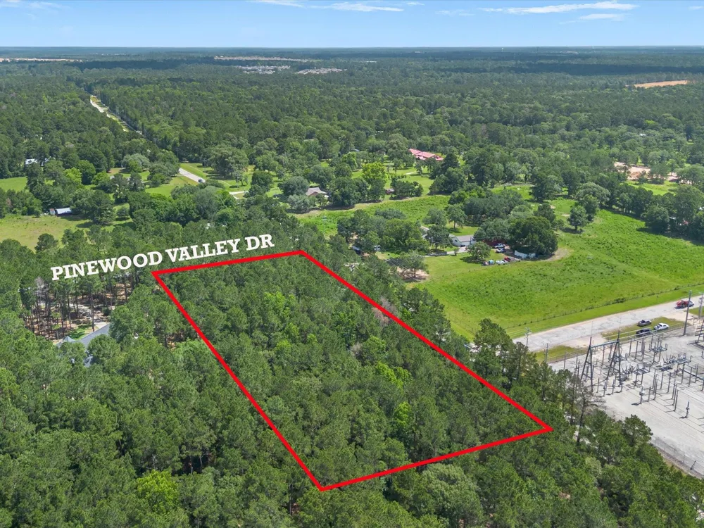 23717 Pinewood Valley Drive Hockley, TX 77447
