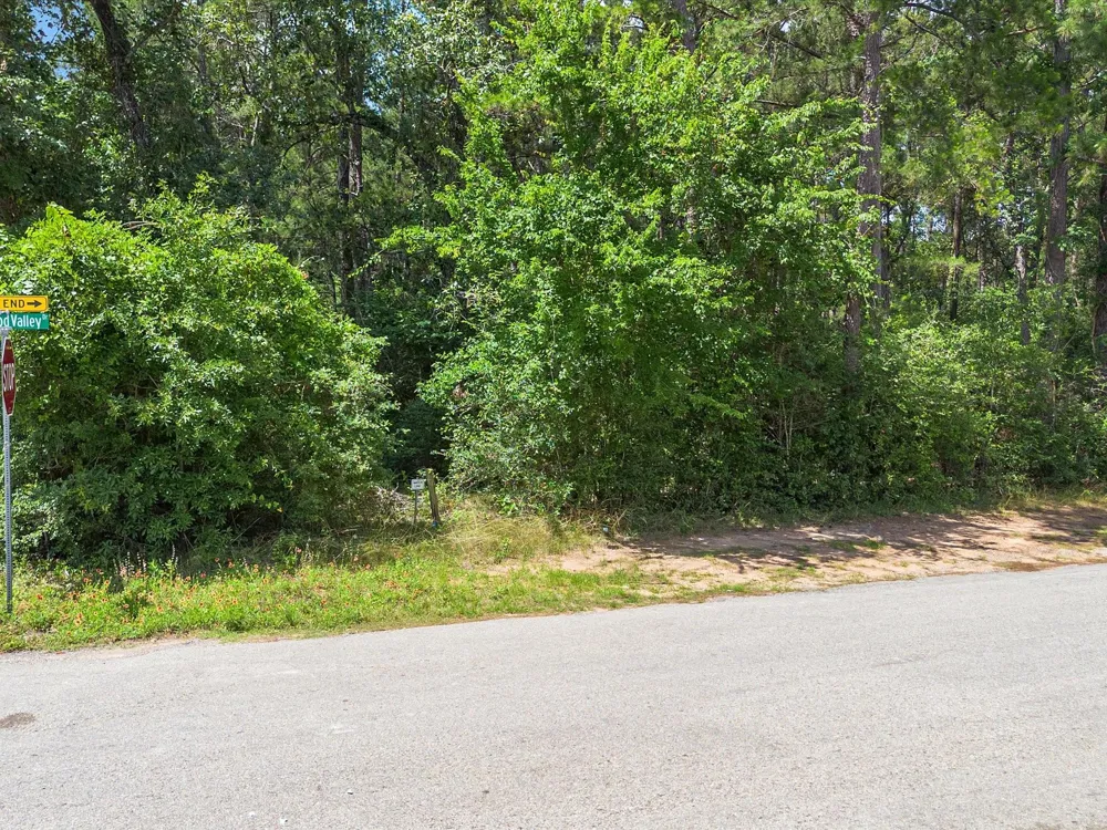 23717 Pinewood Valley Drive Hockley, TX 77447