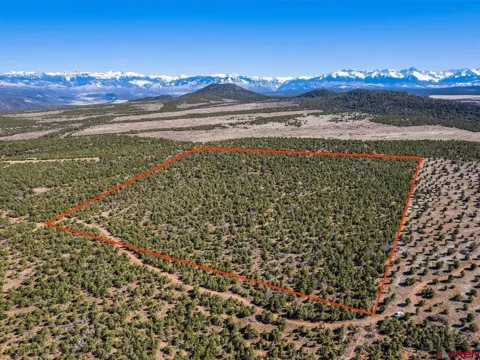 Pinion Ridge Road