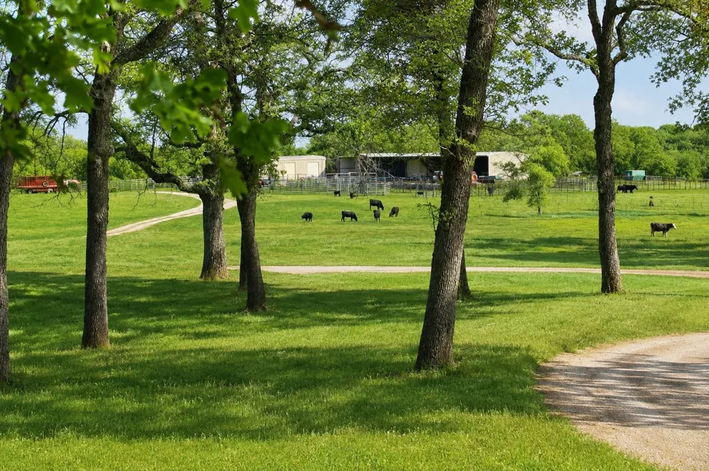 Address Not Shown Luling, TX 78648