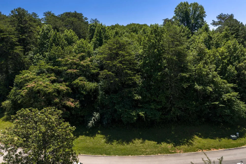 646 Sandpiper Drive Vonore, TN 37885