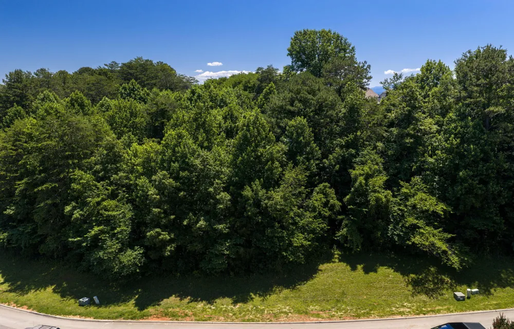 650 Sandpiper Drive Vonore, TN 37885