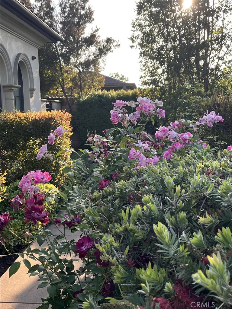 200 W Pamela Road Arcadia, CA 91007