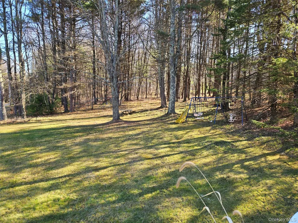 3624 State Route 55 Kauneonga Lake, NY 12720