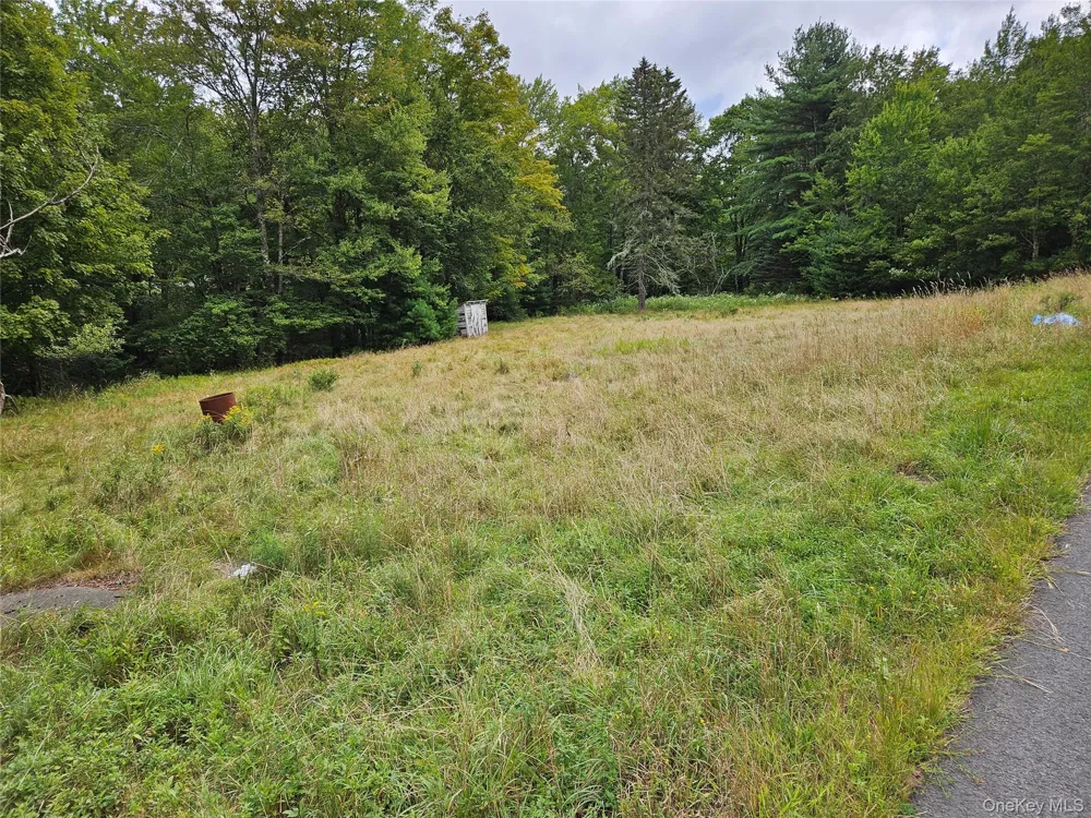 3624 State Route 55 Kauneonga Lake, NY 12720