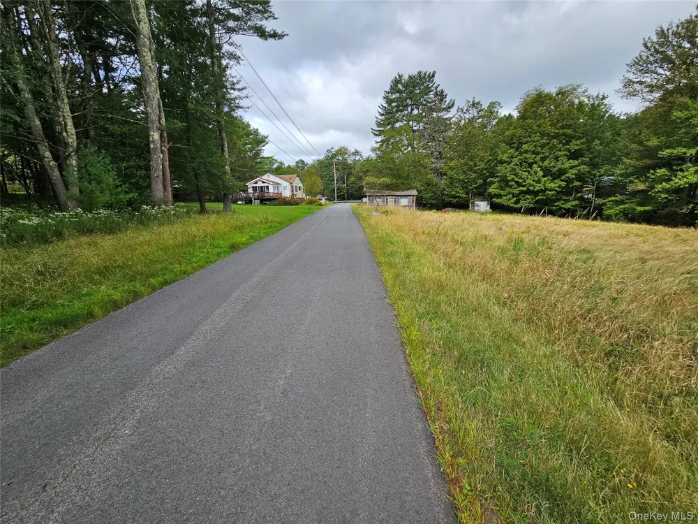 3624 State Route 55 Kauneonga Lake, NY 12720