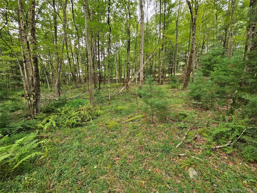 3624 State Route 55 Kauneonga Lake, NY 12720