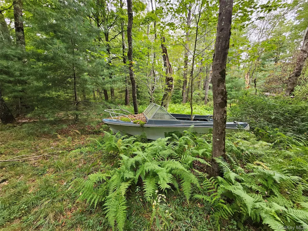 3624 State Route 55 Kauneonga Lake, NY 12720