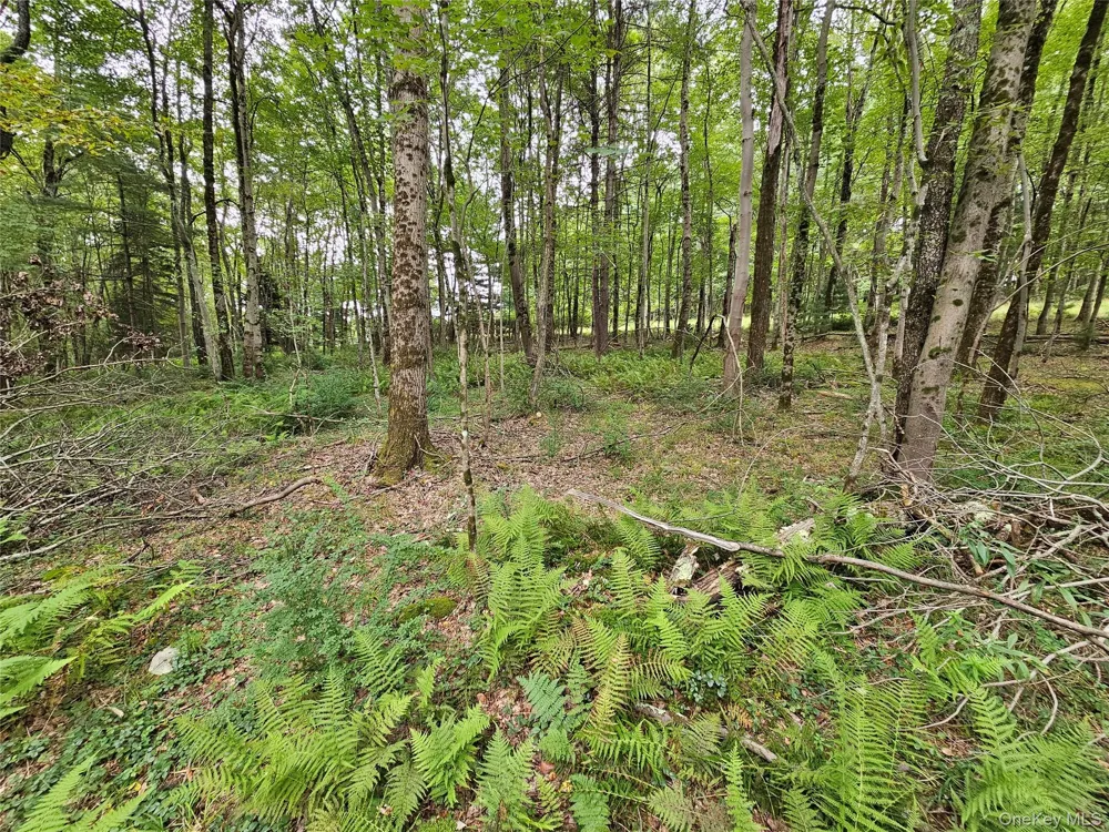 3624 State Route 55 Kauneonga Lake, NY 12720
