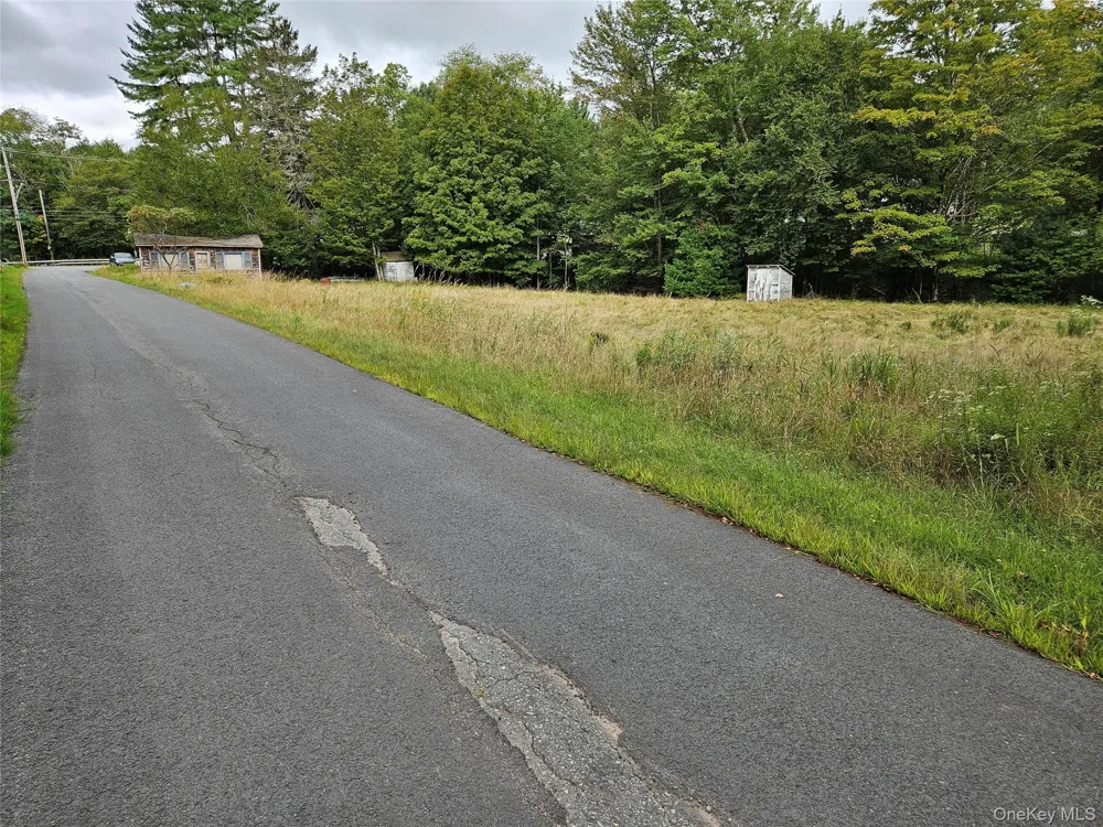3624 State Route 55 Kauneonga Lake, NY 12720