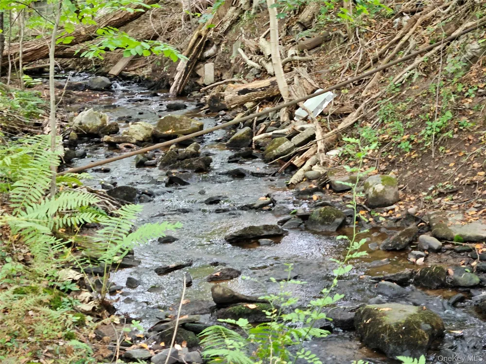 3624 State Route 55 Kauneonga Lake, NY 12720